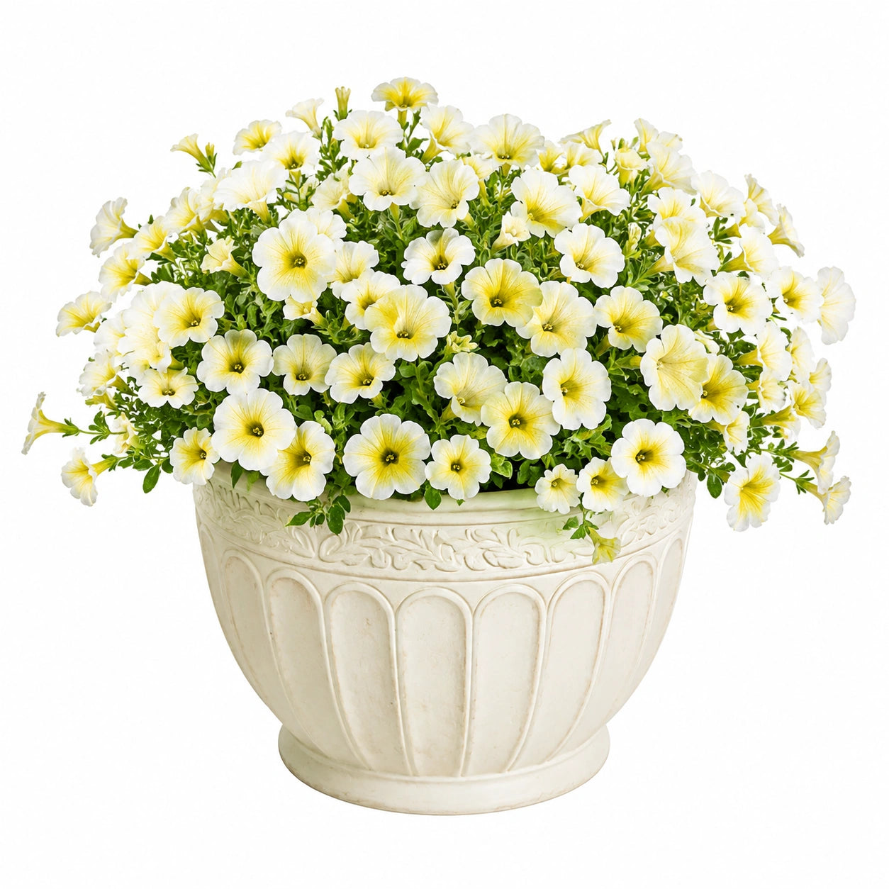 Plante artificielle en pot 40 cm pétunias blanc et jaune style décoratif