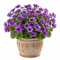 Plante artificielle en pot 45 cm fleurs violettes en textile décoration intérieure classique